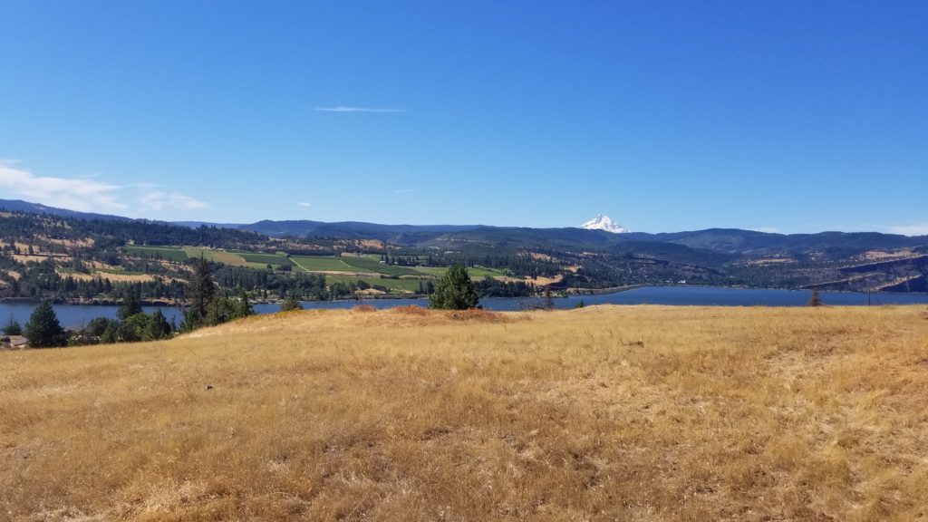 Peak of Mount Hood and view of the Columbia from WA State