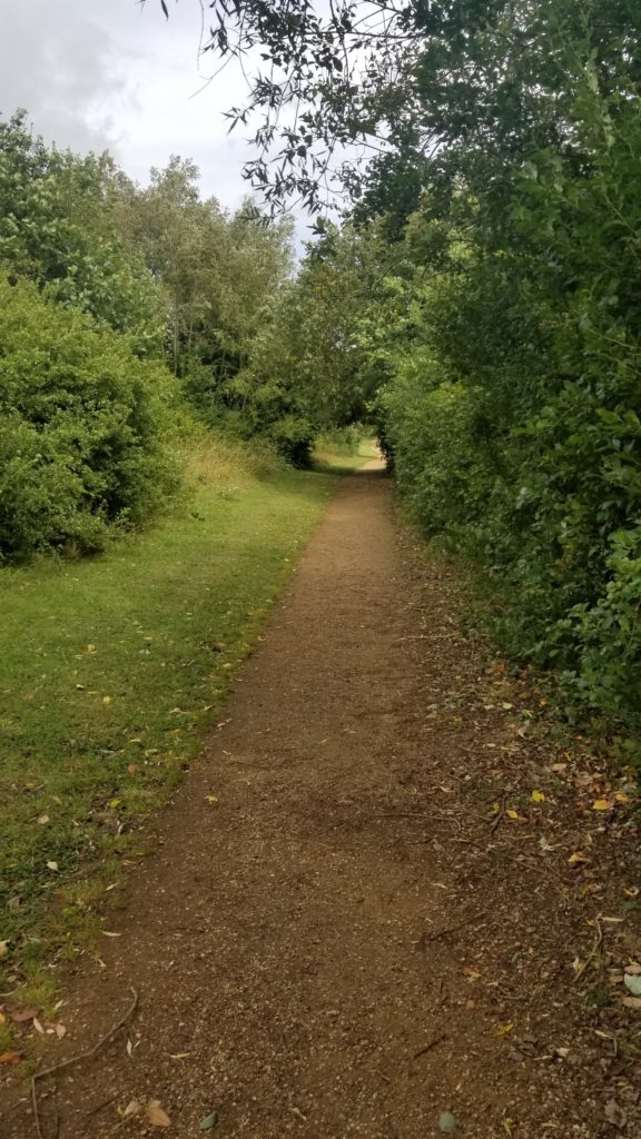 A West Sussex footpath