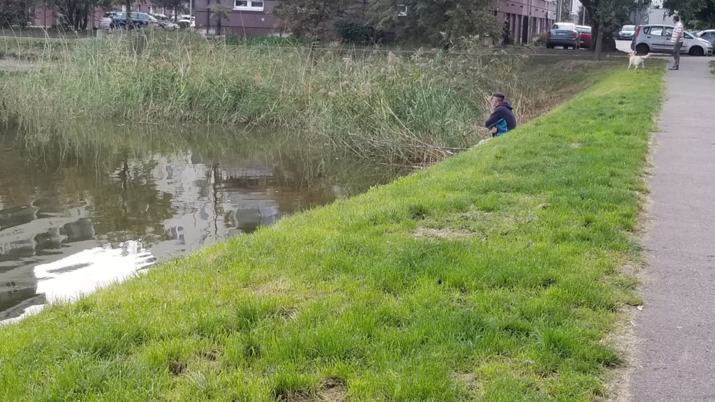 fisherman by a pond