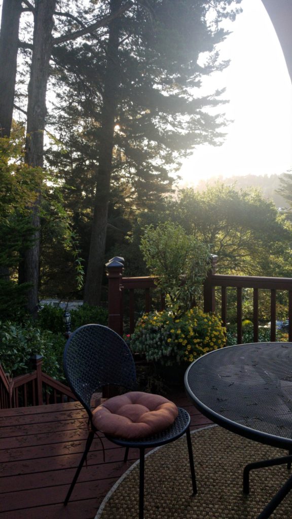 Chair on back deck with forest trees and sunlight peeking through.