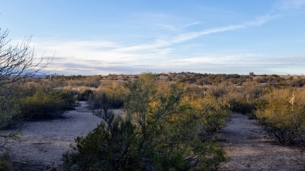 The desert landscape of this Las Cruces destination.