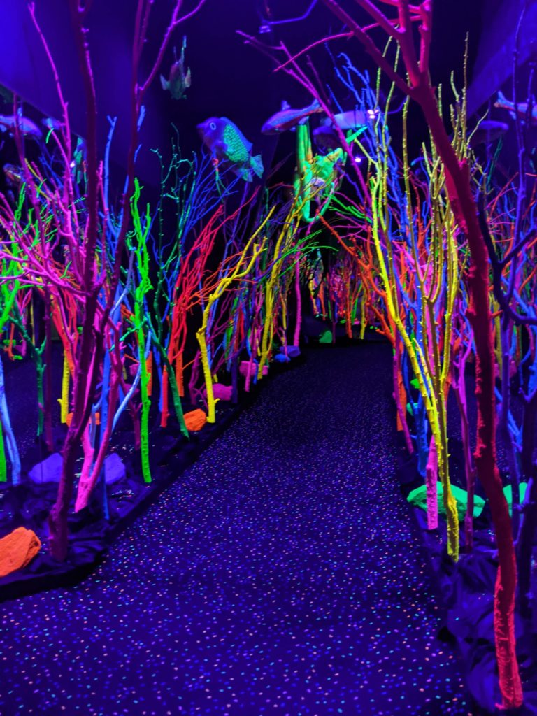 Neon woods - Meow Wolf Santa Fe