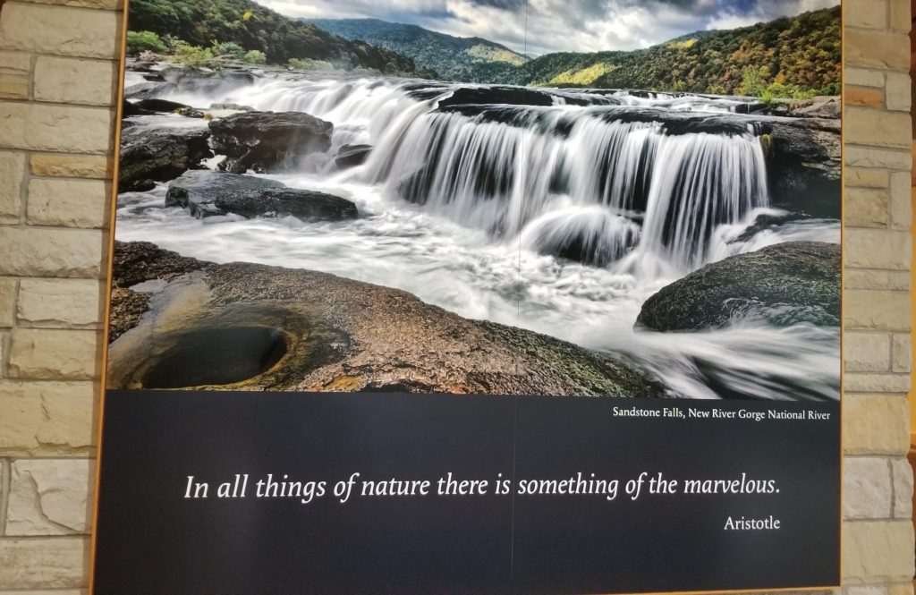 Quote from the State Park