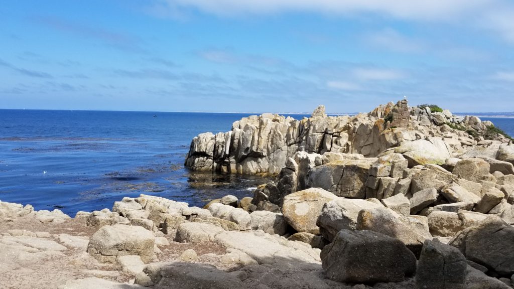 Rocks along the water