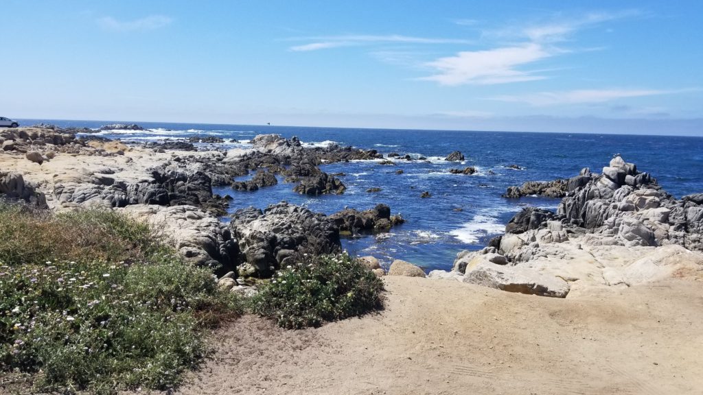 Ocean and rock