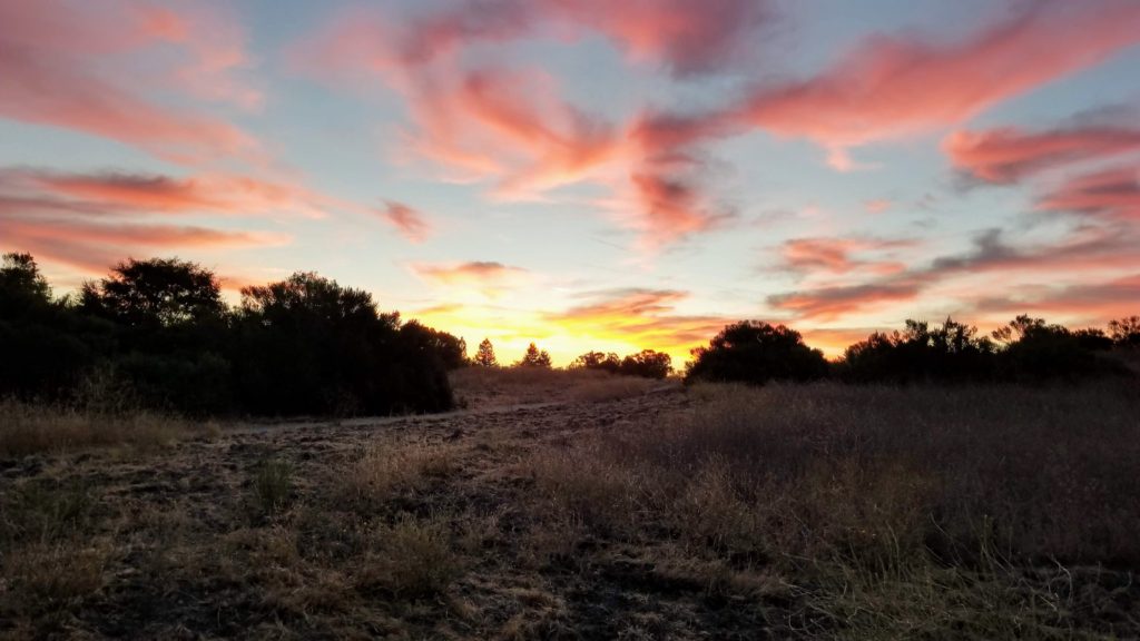 Sunrise with pink clouds.