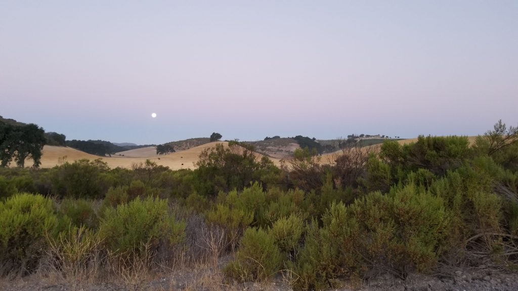 Moon in a morning sky.