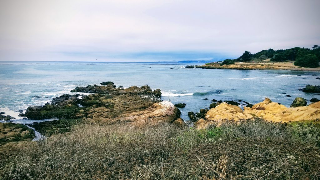 Ocean and rocks