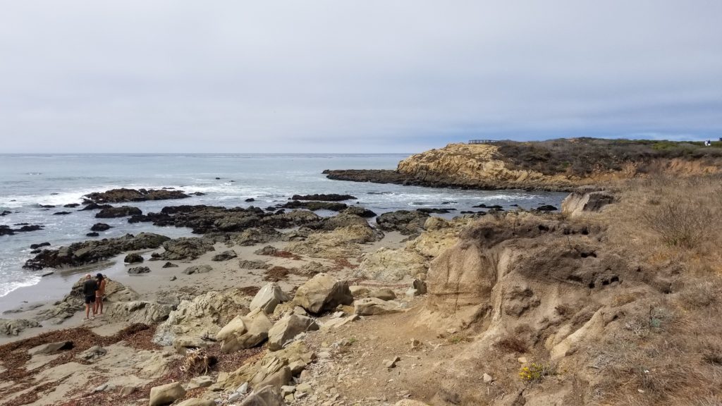 Ocean and rocks. 