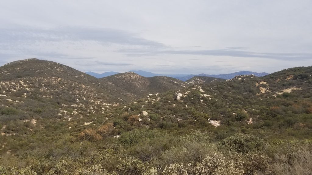 Desert Mountains