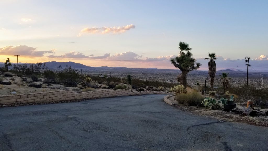 desert landscape