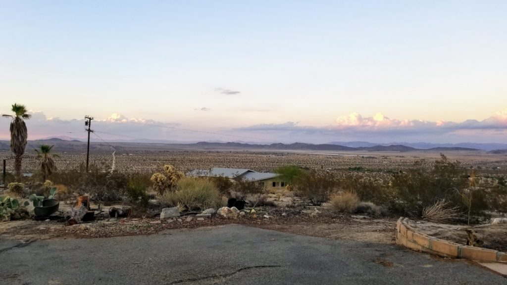 desert landscape.