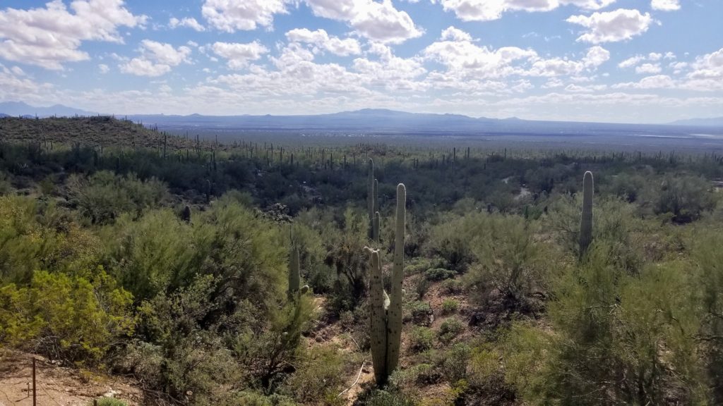 desert mountains