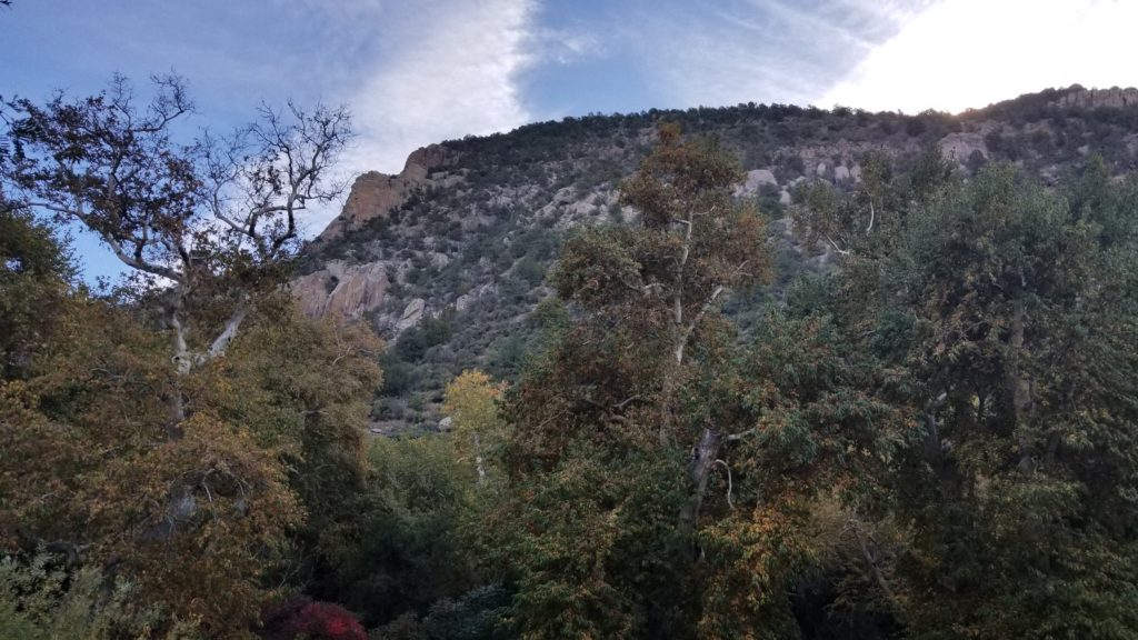 Gila National Forest Mountains