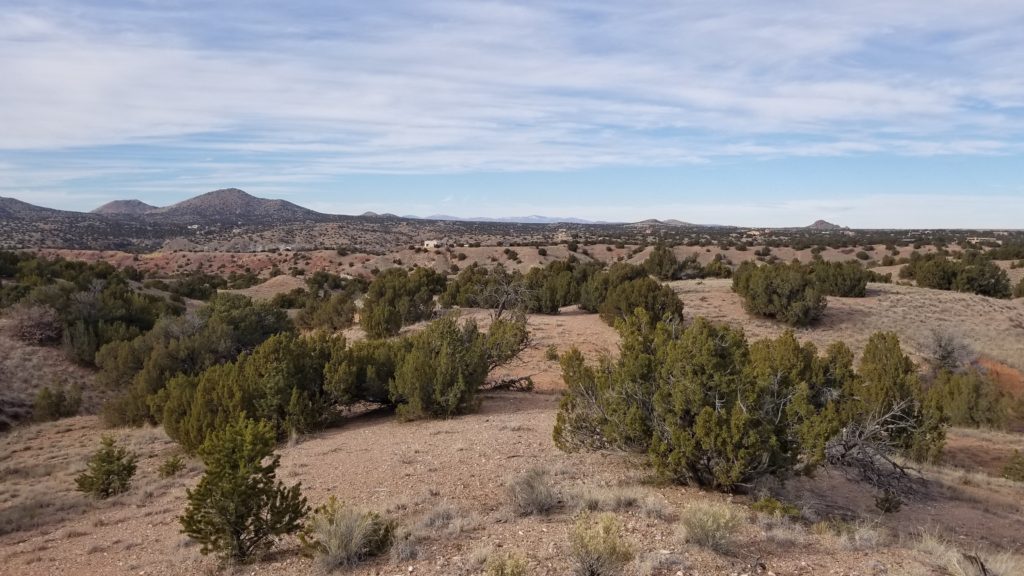 High desert landscape