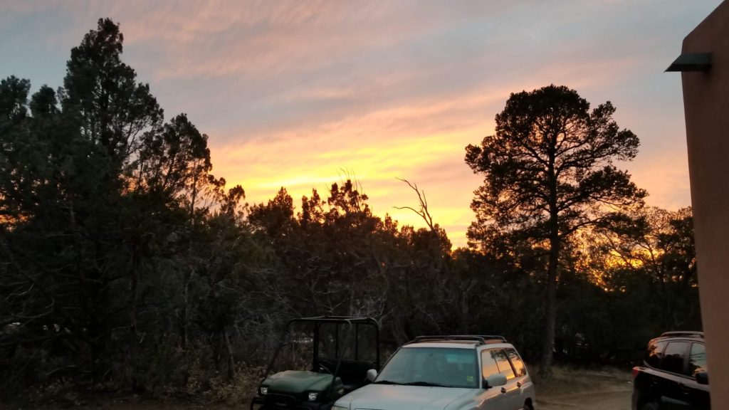 Sun setting above trees