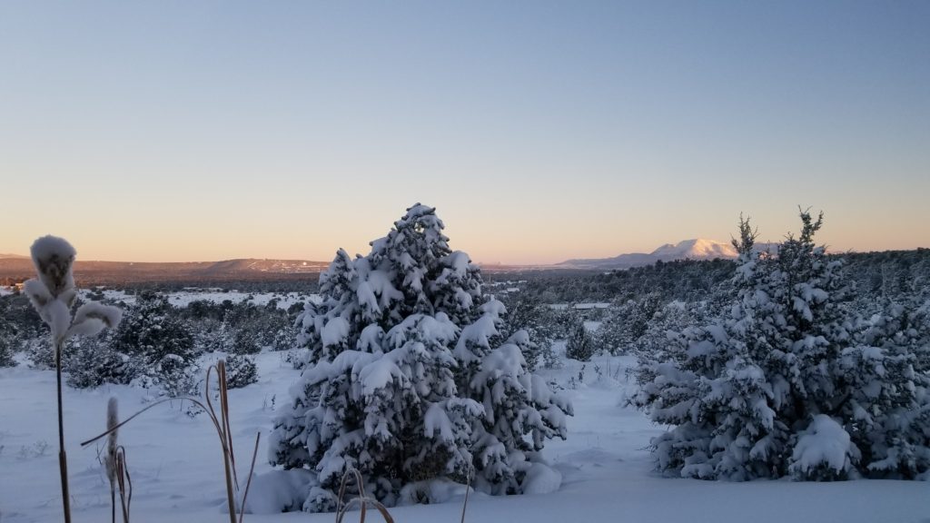 Snow covered high desert.