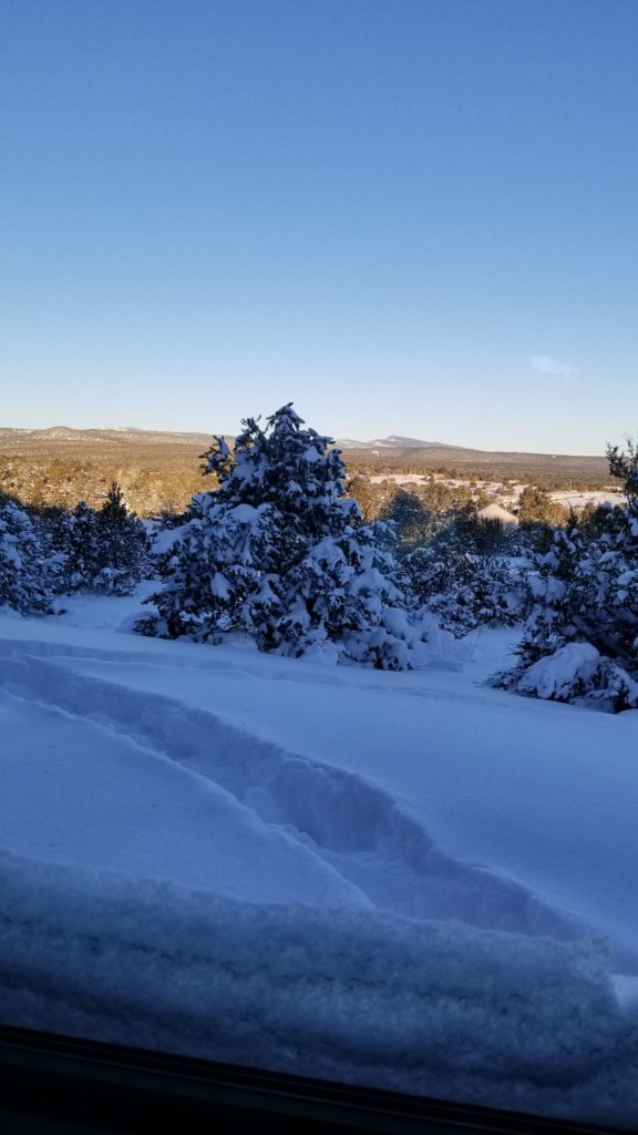 Trail through two feet of snow.