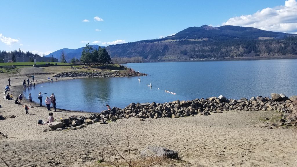 Columbia River Beach