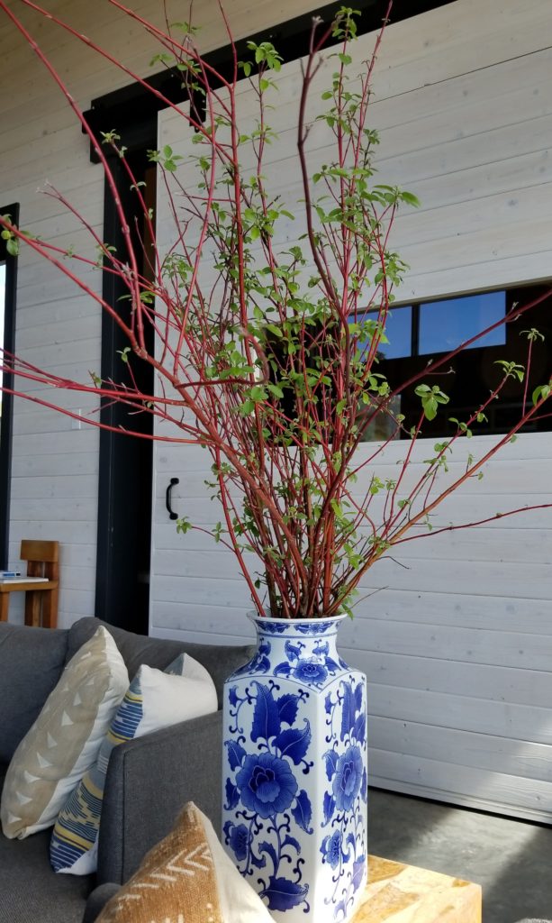 Plant in a winery tasting room