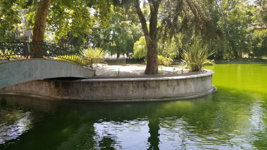 Bridge over water too an island in a park