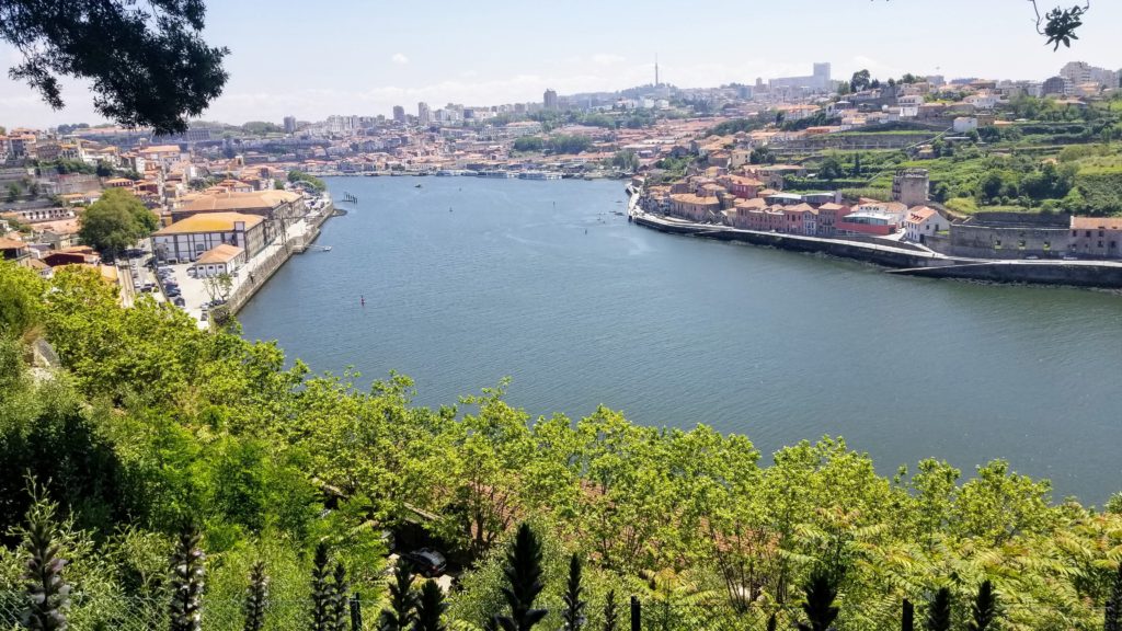 View of the Porto river from up high