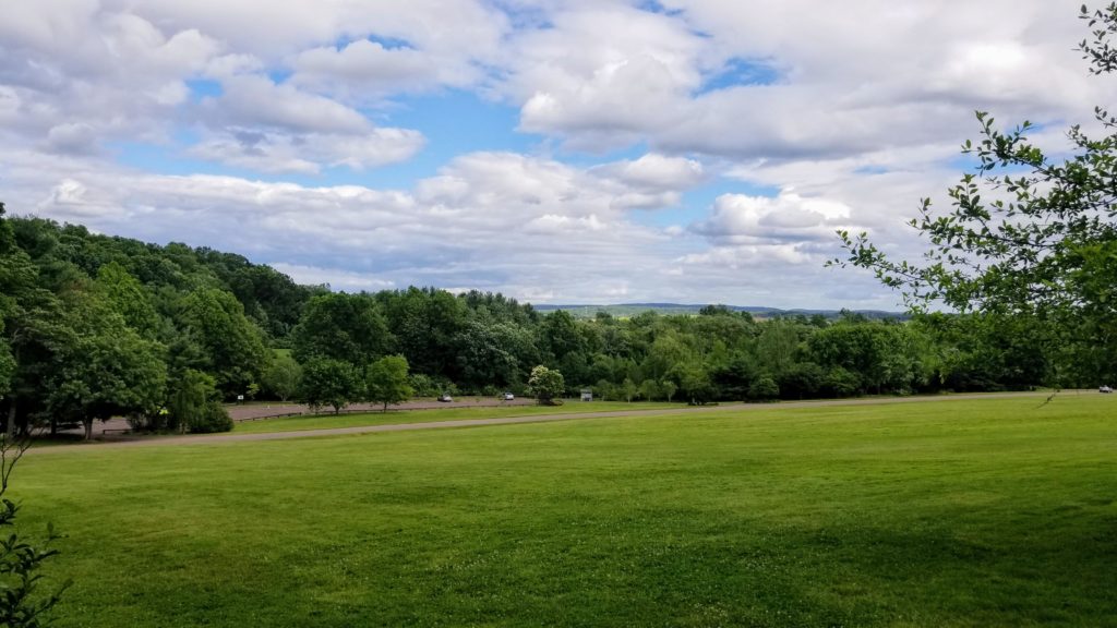 View from Wickham Park