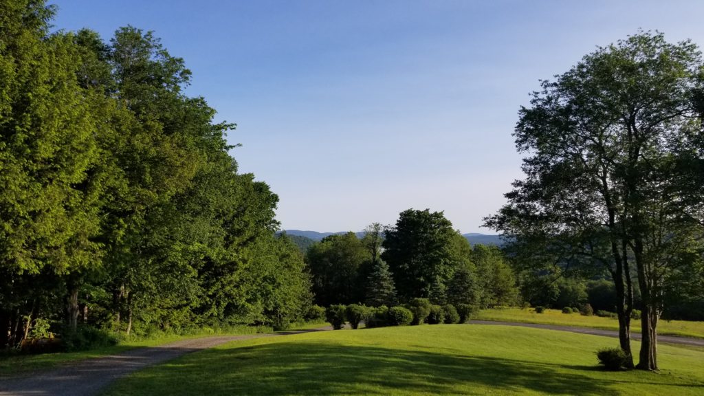 View of trees and hills