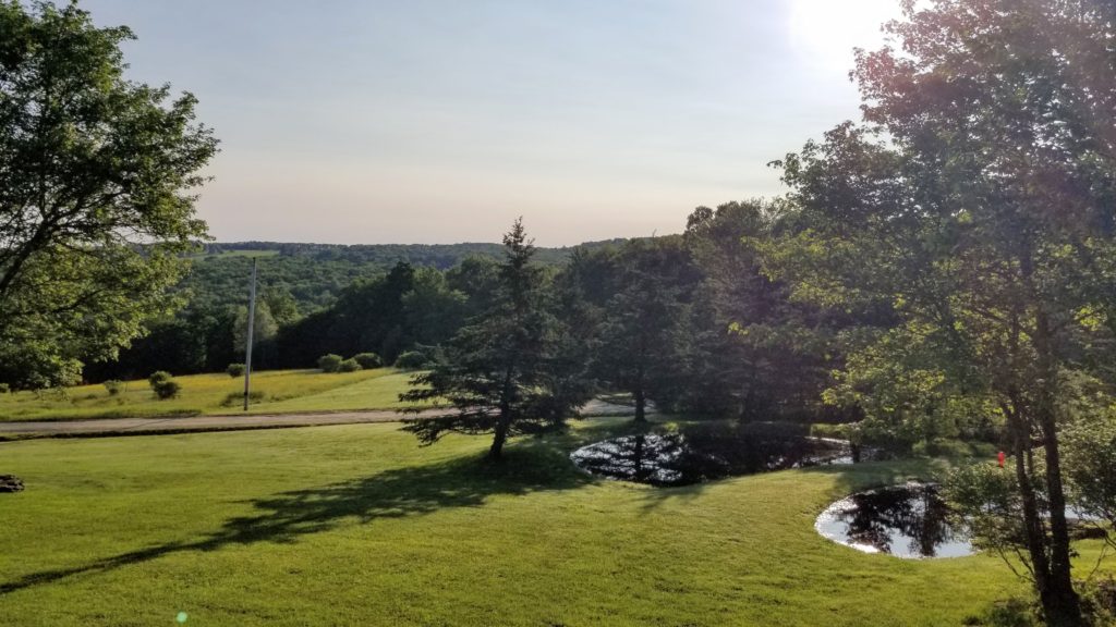 Pond in the country