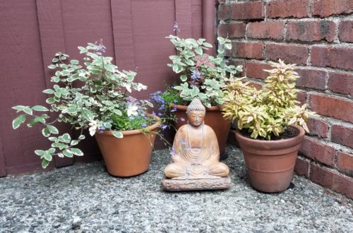 Buddha statue surrounded by 3 potted plants.